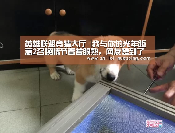 英雄联盟竞猜大厅 |我与你的光年距离2召唤情节看着眼熟，网友想到了鬼怪