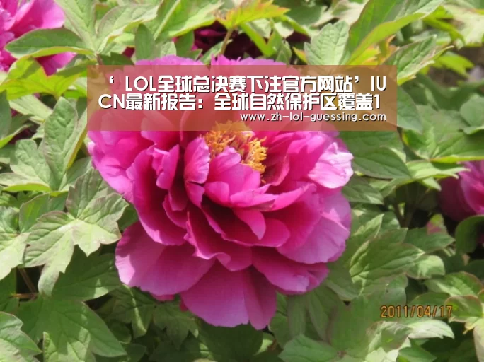 ‘ LOL全球总决赛下注官方网站’IUCN最新报告:全球自然保护区覆盖15%的陆地和7%的海洋(图2) LOL全球总决赛下注官方网站