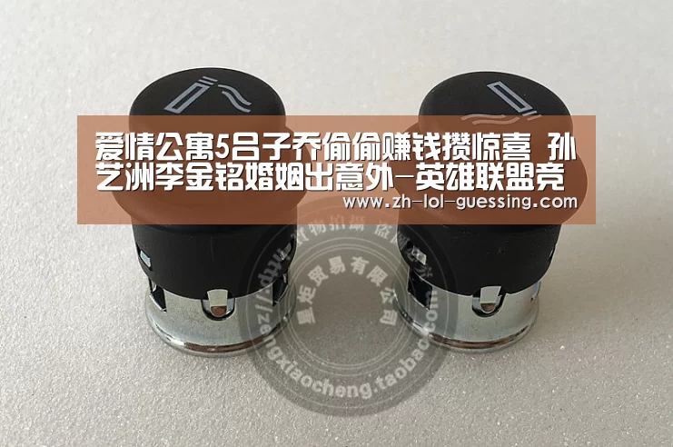 爱情公寓5吕子乔偷偷赚钱攒惊喜 孙艺洲李金铭婚姻出意外-英雄联盟竞猜大厅 (图2) 英雄联盟竞猜大厅